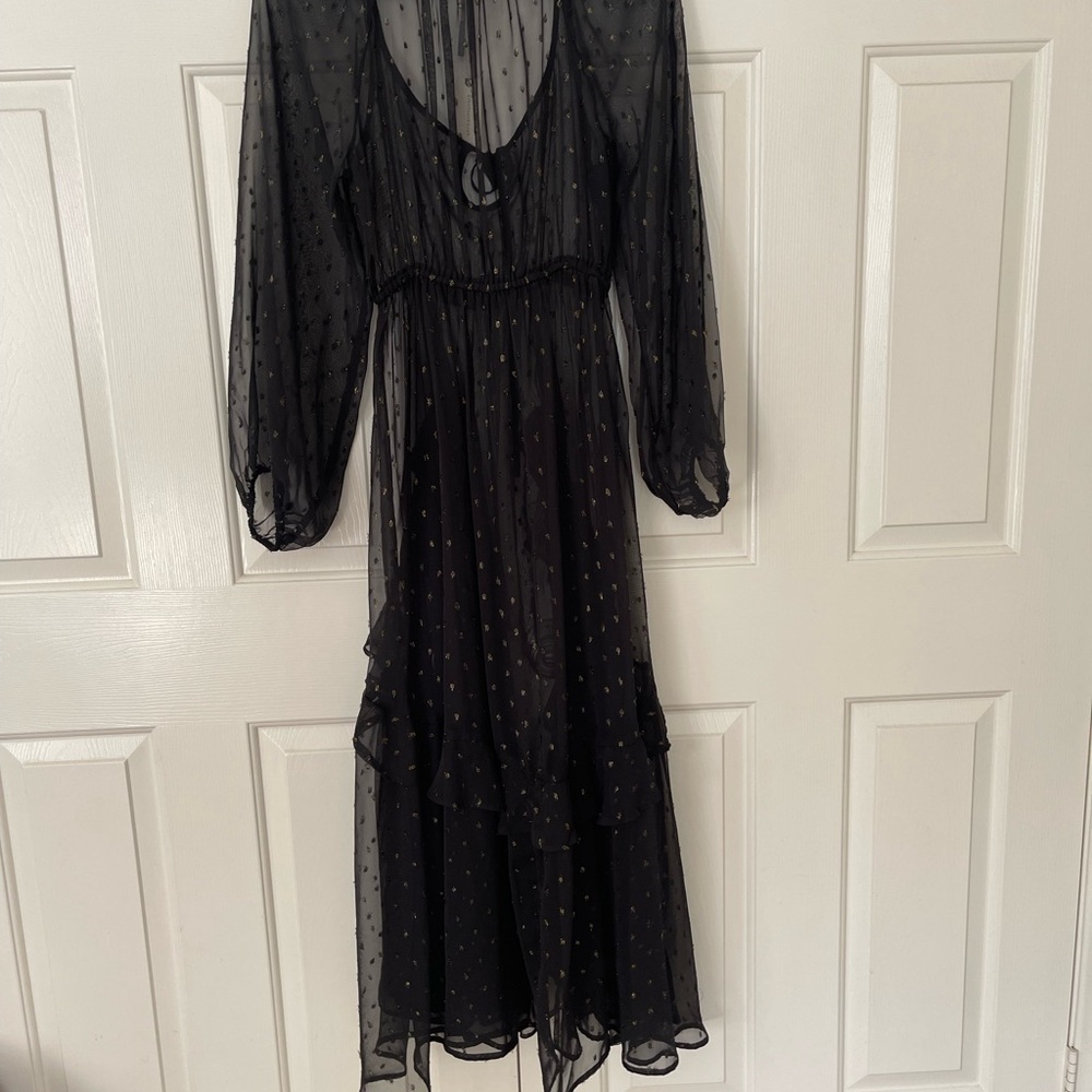 Anthropologie long sleeve ruffle mesh maxi dress - Picture 4 of 6
